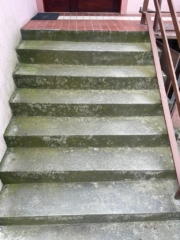 cisteni schodu Praha