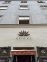 Cisteni fasady Praha