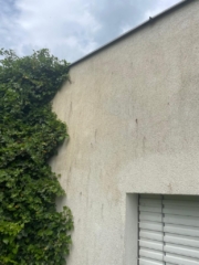 Cisteni fasady Praha