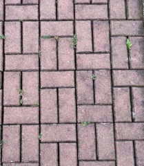 Cisteni zamkove dlazby Praha