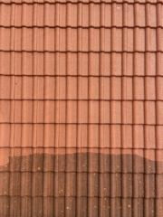 Čištění střech Praha