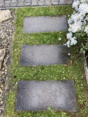 Čištění zámkové dlažby Praha