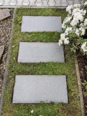 Čištění zámkové dlažby Praha