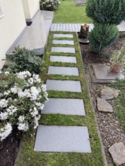 Čištění zámkové dlažby Praha