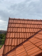 Čištění střechy Praha