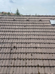 Cisteni strechy Praha