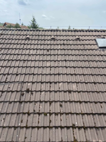 Cisteni strechy Praha