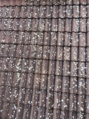 Cisteni a impregnace strech Praha