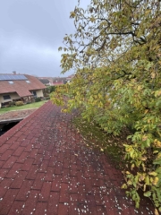 Cisteni a impregnace strechy kanadský šindel