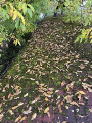 Cisteni a impregnace strechy kanadský šindel